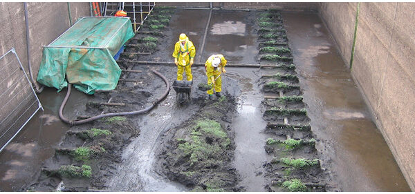 sewer and drain services