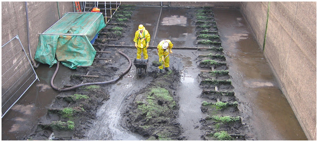 Extending Your Home Near a Public Sewer